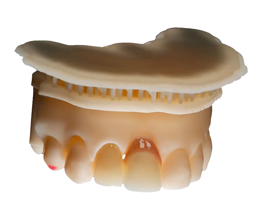 Imagen de Corona con encia artificial